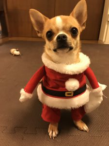 クリスマスパーティー開催～おまけ～