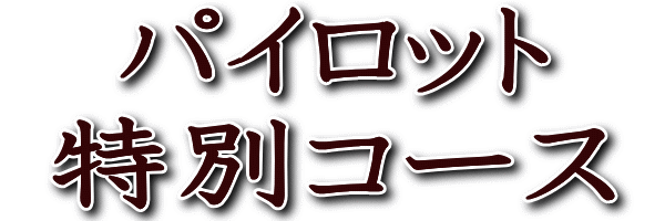 パイロット特別コース